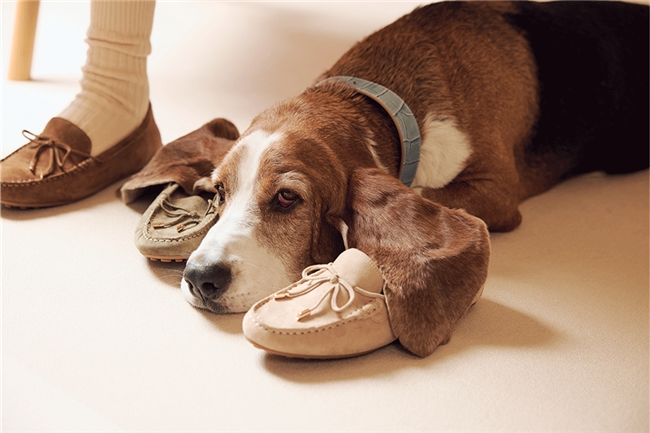 Hush Puppies暇步士鞋类新品即将上市,嘉曼服饰构建全品类自营体系