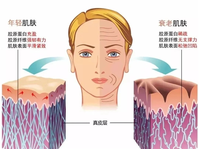 胶原蛋白肽品牌推荐，公认好用的胶原蛋白肽品牌