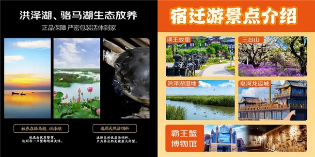 大过成人巴掌的大闸蟹以7192元拍卖成交 京东超市点燃秋日赏蟹热潮