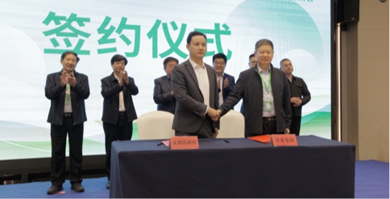 正阳县联合鲁花成立高油酸花生产业联盟 搭建协同平台筑牢国家粮油安全根基