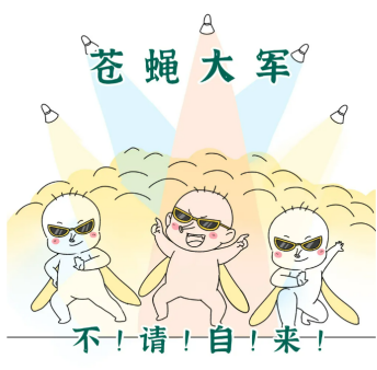 酱油生虫的幕后黑手：带你看懂“酱亚麻蝇”的重口味“咸鱼生活”