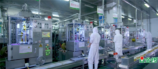 金锣积极践行节能降碳目标，为绿色发展道路舔砖助力