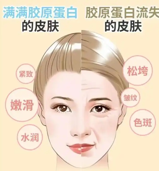 胶原蛋白肽评测大起底,胶原蛋白肽哪个牌子好?