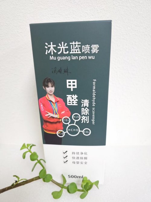 2025年新房快速入住攻略：专业除甲醛产品实测，有效降低室内污染危害