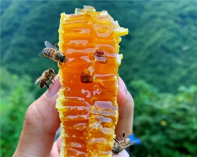 哪款蜂蜜比较好？2025十大品牌蜂蜜推荐，跟着清单买不会错