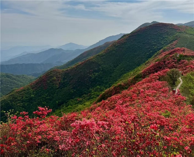 见长辈送什么礼物好？2025精选走心的好礼：实用，体面感拉满