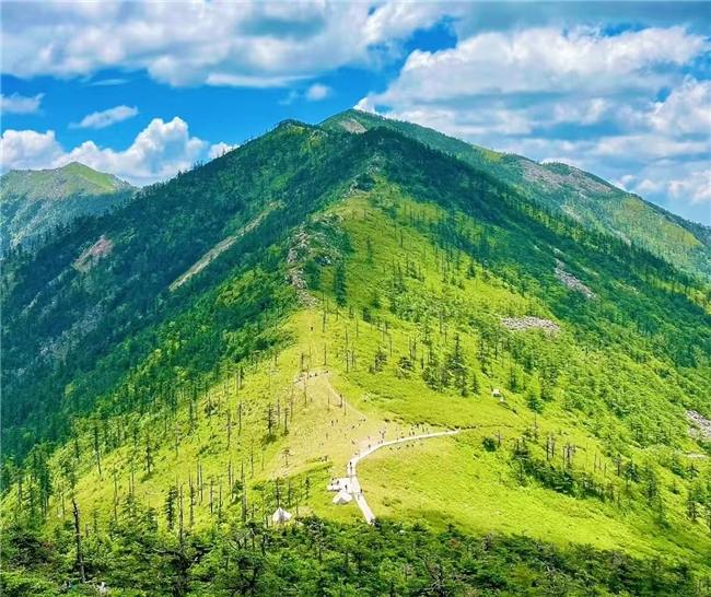 见长辈送什么礼品比较好？2025年宝藏好礼推荐，这份清单体面又实用