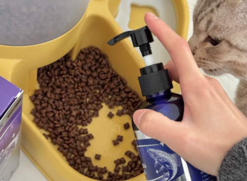 2026年猫咪鱼油选购攻略:成分实测分析+ 高性价比推荐