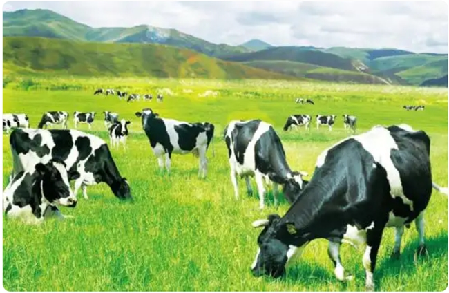 全面又新鲜!2026高口碑婴幼儿奶粉推荐