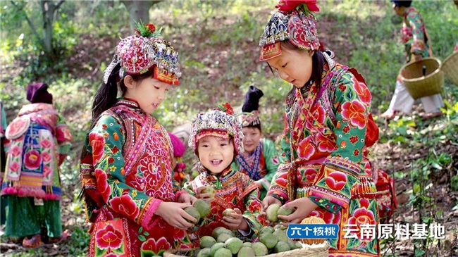 过年送礼饮品推荐的六个核桃，为什么年年成为“抢手货”