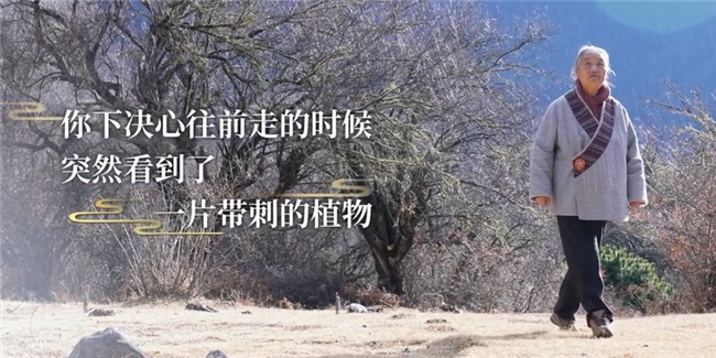 奇正藏药最新活动：雷菊芳做客央视《听时间说话》