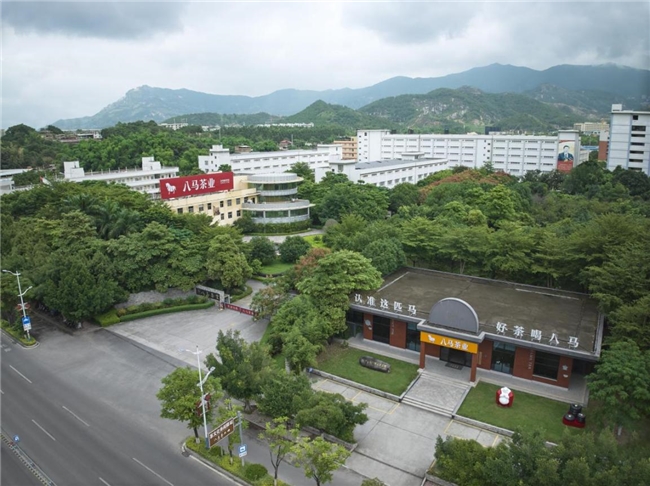 对话八马茶业王文礼：“企业不在大小，而在早晚”