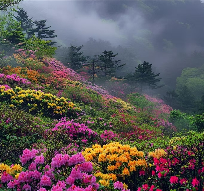 成熟蜂蜜哪个牌子比较好？恋之坊蜂蜜推荐，好评不断