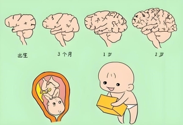 什么奶粉胆碱含量最高？提高大脑发育的奶粉怎么挑？