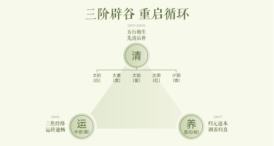 多燕瘦辟谷套餐靠不靠谱？揭秘“清通调”三阶管理与55种食材的科学真相