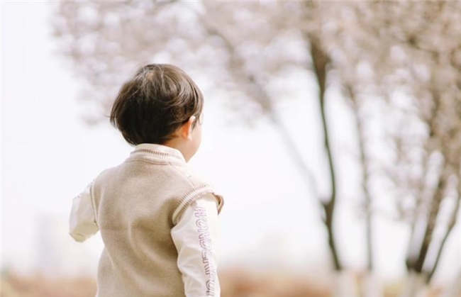 营养全面吸收好的奶粉入哪个好？宝宝轻松获取能量就看这几款