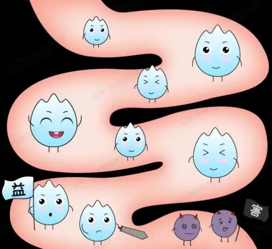 含益生菌的奶粉品牌选哪个？这4款热门选择值得入