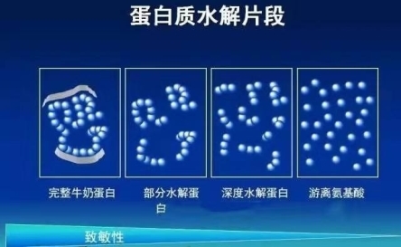 金领冠托菲儿优质奶源低敏奶粉，呵护敏感宝宝