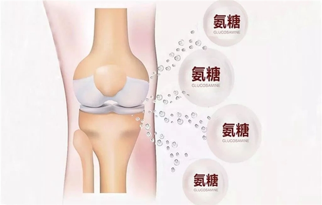 “久坐”导致髋关节疼？选择治疗级硫酸氨基葡萄糖，改善关节功能