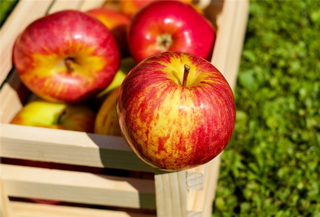 苹果醋哪个品牌好？减脂期的神仙饮品推荐