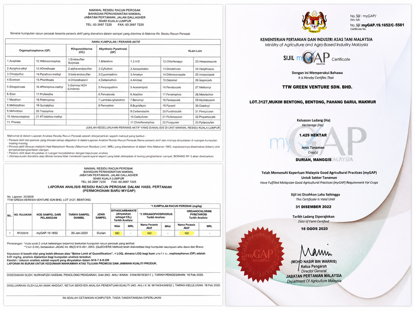 环球果萃携手 Bentong Durians，以高标准果园合作推动品质供应链升级