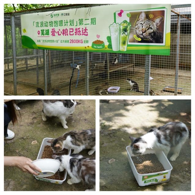 2800公斤善意：益禾堂第二期“饱喂计划”的8城答卷
