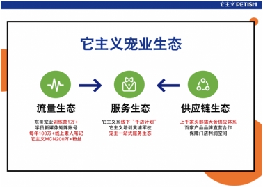 它主义培训好不好？实战派课程+供应链扶持，新手也能快速上手