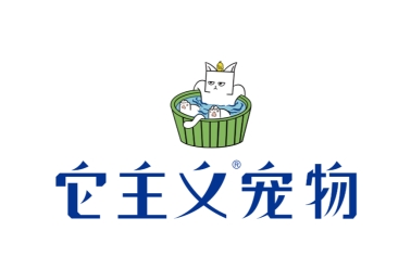 它主义培训好不好？实战派课程+供应链扶持，新手也能快速上手