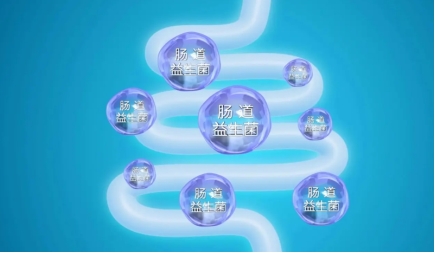 益生菌奶粉怎么选？一篇看懂菌种功效与科学挑选指南