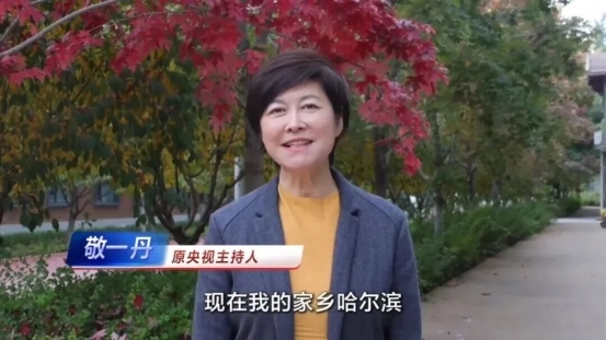 喜报！四季沐歌再度斩获2026IAI传鉴国际广告奖