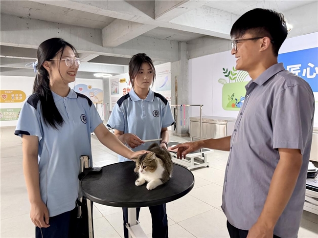特色专业走出育人新路｜济南应用技术职业中等专业学校宠物养护与经营专业，升学就业双向出彩