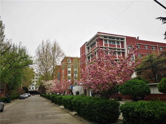 特色专业走出育人新路｜济南应用技术职业中等专业学校宠物养护与经营专业，升学就业双向出彩