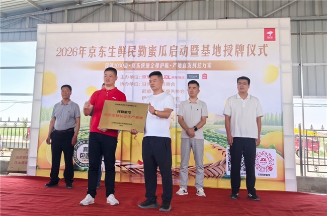 从5万人种梭梭到“包圆”2000亩蜜瓜：一场民勤治沙的公益接力