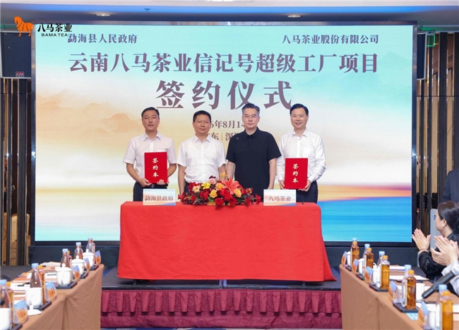 从安溪到勐海，八马茶业以“原产地+科技”走出稳扎稳打发展路