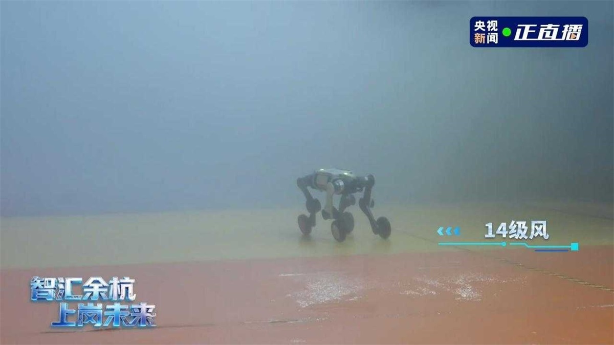 不惧14级台风！云深处山猫机器人勇闯极端环境