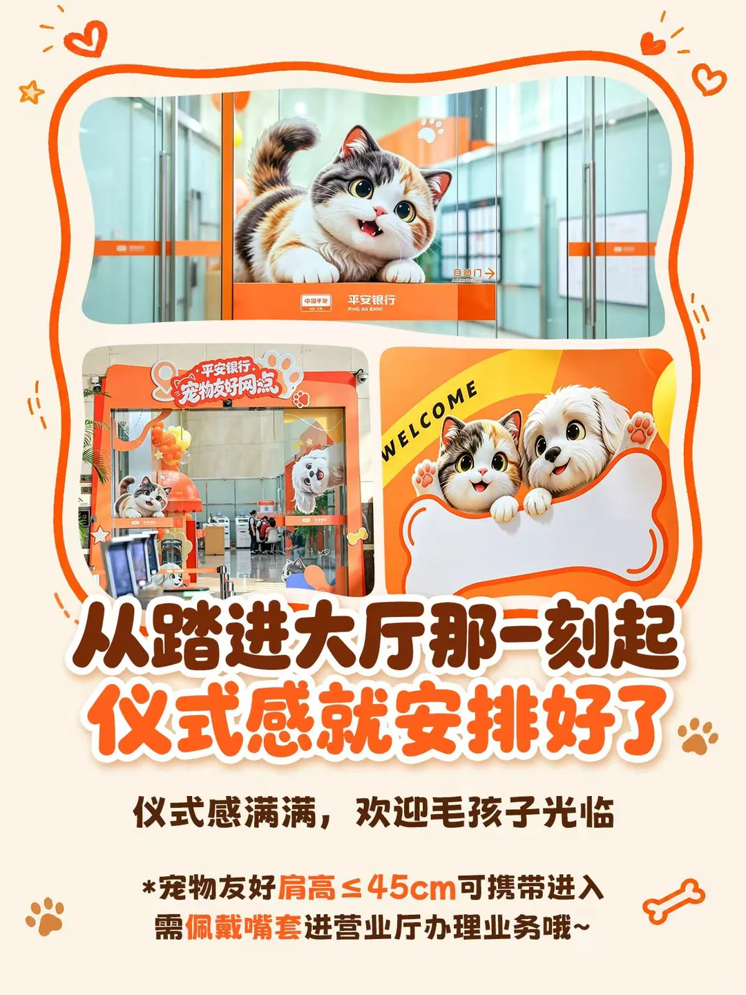 如图片无法显示，请刷新页面